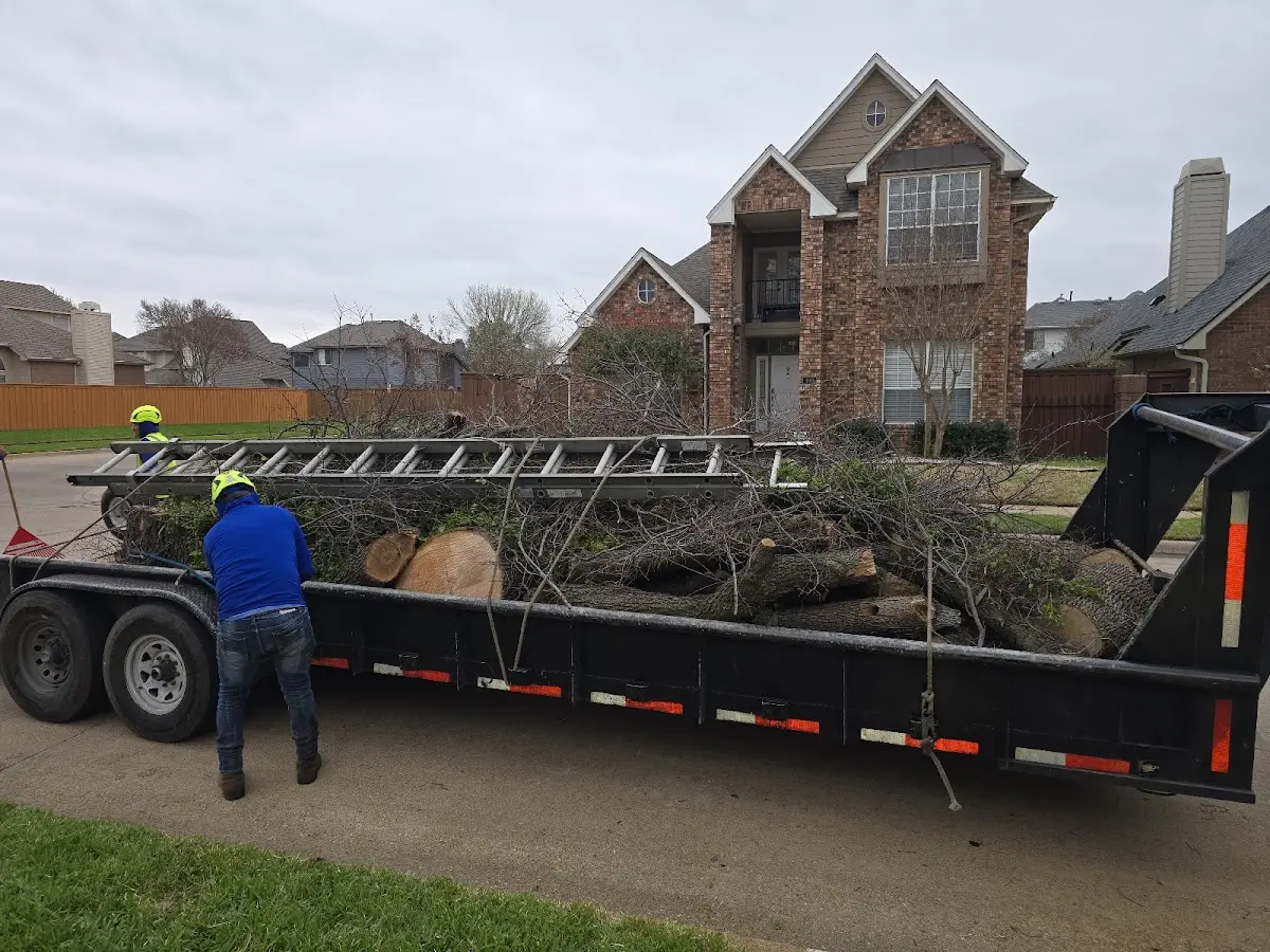 Expert Tree Removal with proper safety equipment in New Boston